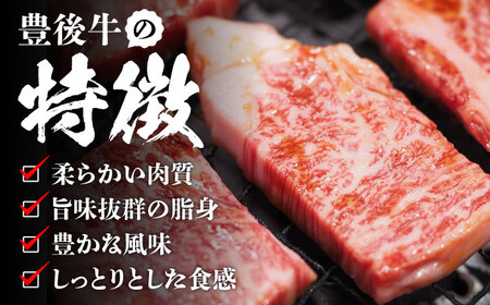【全6回定期便】おおいた豊後牛 焼肉用 1kg(500g×2P) 赤身 モモ 焼肉  冷凍 豊後牛 BBQ [AREI102]