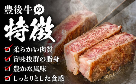 【全6回定期便】【厳選部位】おおいた豊後牛 サーロイン ブロック 1kg 日田市 黒毛和牛 牛肉 サーロイン 豊後牛 サーロインブロック [AREI105]