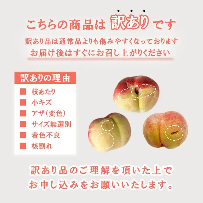 【2026年発送★先行予約】訳あり桃10玉以上　2.5㎏～3.5㎏　※クール便　154-049-26y