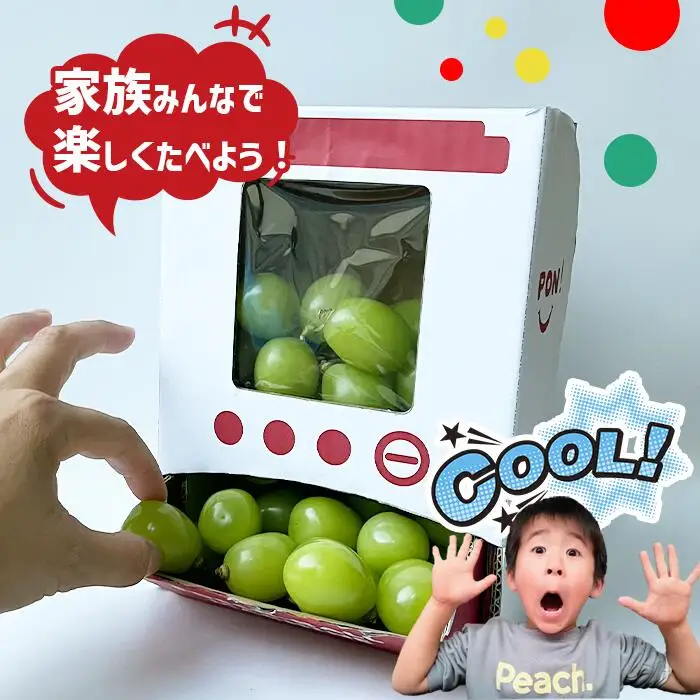 【2026年発送★先行予約】シャインマスカット 山梨 「ポンポンBox 大粒2房分」 154-050-26y ※クール便 |種なし ぶどう ギフト 贈答 山梨県 山梨産 笛吹市 フルーツ シャイン マスカット 人気 ランキング コスパ 数量限定