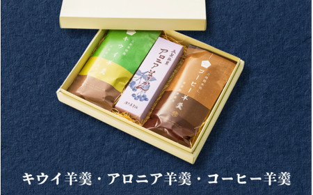 羊羹3種 詰め合わせ (アロニア キウイ コーヒー) | 羊羹 ようかん