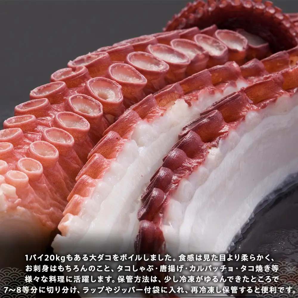 羅臼産タコボイル足 1本（約1.8kg）魚介類 たこ 知床 北海道