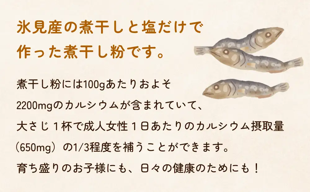 煮干し粉（100g）1個 富山県 氷見市 煮干し 粉 調味料 加工品 国産 イワシ 鰯