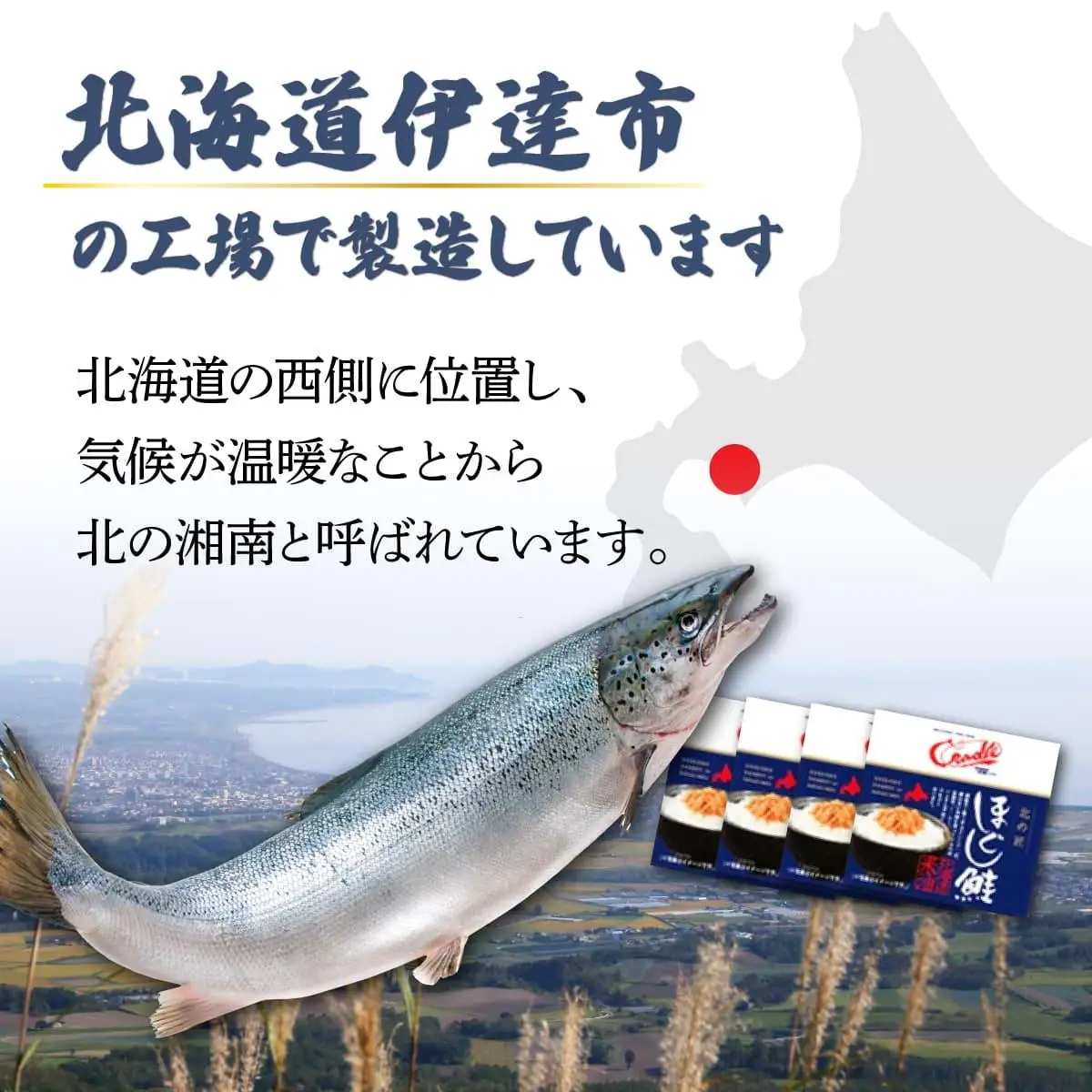 [5525-1194]紅鮭 手ほぐし鮭 北の匠 90g×12缶 北海道産 こめ油 使用 缶詰 備蓄 常温 長期保存 北海道 伊達 クレードル