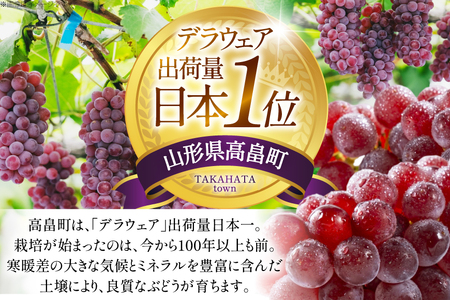 【期間限定発送】 ぶどう デラウェア 5～8房 約 1kg [いわた果樹園 山形県 高畠町 tk06ayt400003]