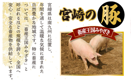 宮崎県産豚　小間切れ（合計3.2kg）_K030-008