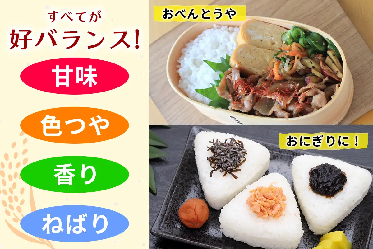 寝屋川産 ヒノヒカリ 5kg 精米｜お米 米 コメ ごはん [1292]