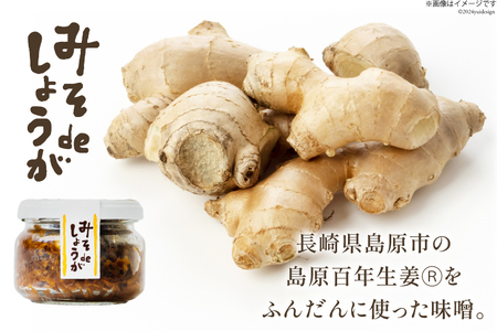 AI204 みそdeしょうが 100g 1個 [長崎県 島原市]