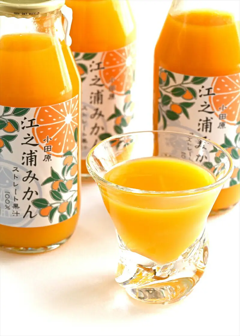 【定期便 （2カ月ごと全6回）】小田原産江之浦みかん１００％ストレートジュース１８０ml３０本【みかんジュース みかんジュース 神奈川県 小田原市 】