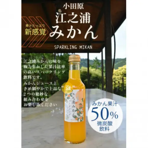 【定期便（2カ月ごと全6回）】小田原産江之浦みかんスパークリング果汁入り飲料果汁５０％２００ml３０本