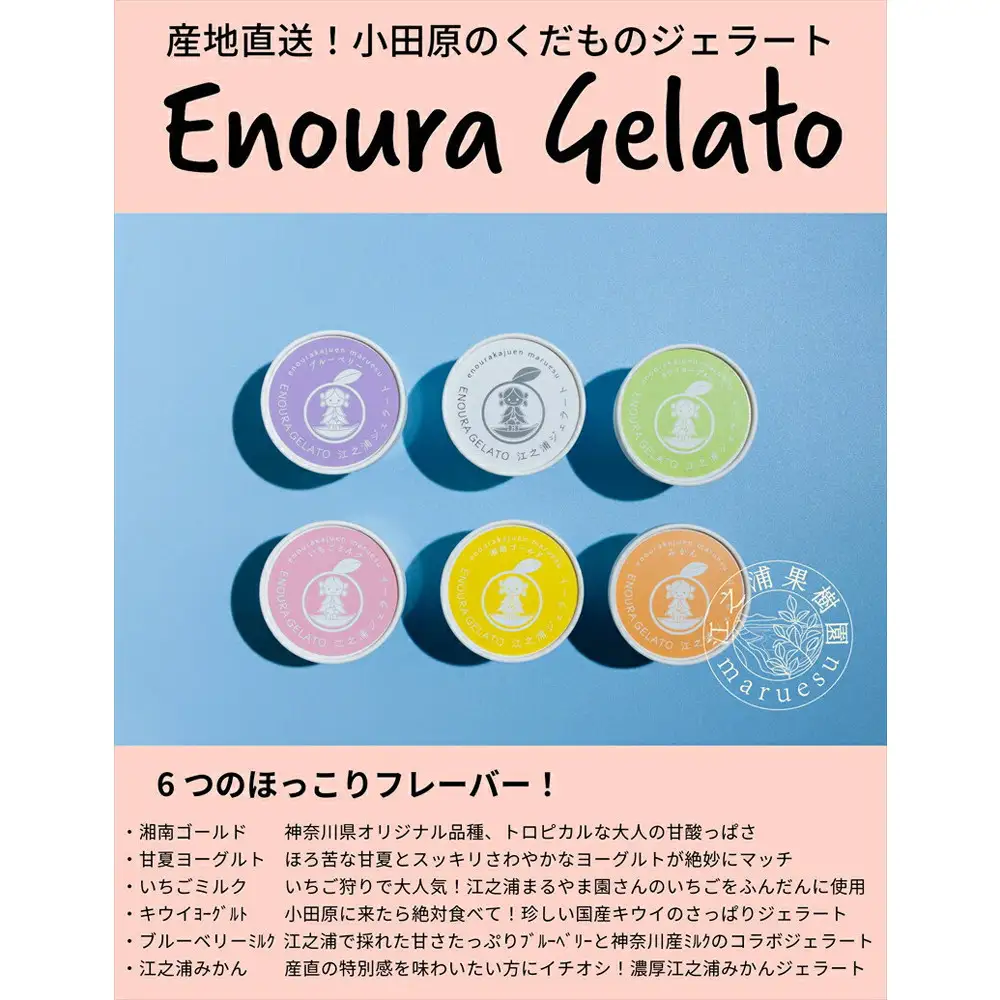 【定期便 9回】 小田原産江之浦ジェラート６種（みかん、湘南ゴールド、ブルーベリーミルク、いちごミルク、キウイヨーグルト、甘夏ヨーグルト）120mlカップ各２個合計１２個【ジェラート ジェラート 神奈川県 小田原市 】