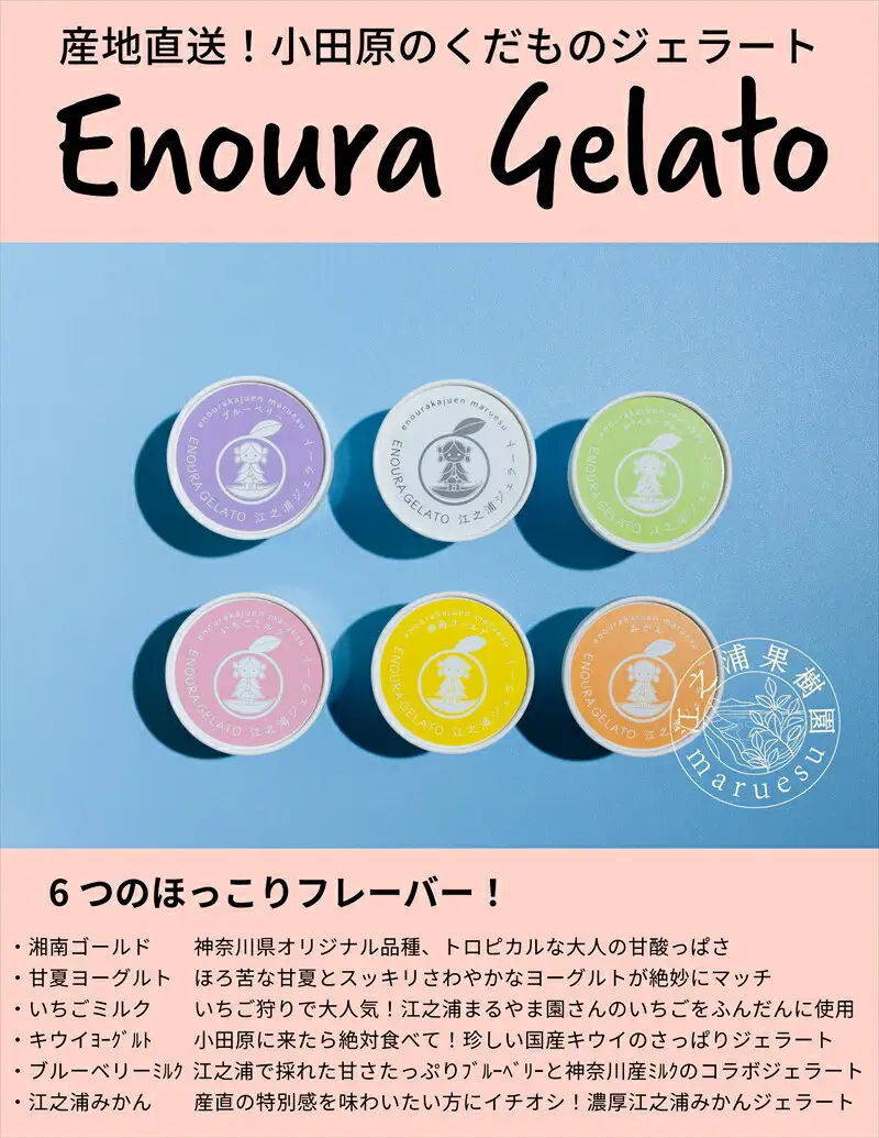 【定期便 12回】 小田原産江之浦ジェラート６種（みかん、湘南ゴールド、ブルーベリーミルク、いちごミルク、キウイヨーグルト、甘夏ヨーグルト）120mlカップ各２個合計１２個【ジェラート ジェラート 神奈川県 小田原市 】