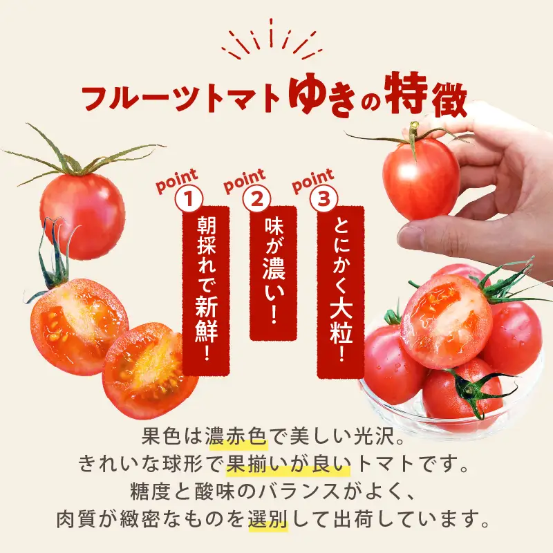 ≪期間限定≫オリジナルブランド「フルーツトマト ゆき」計2kg ミニトマト 野菜 サラダ 国産_T047-0045
