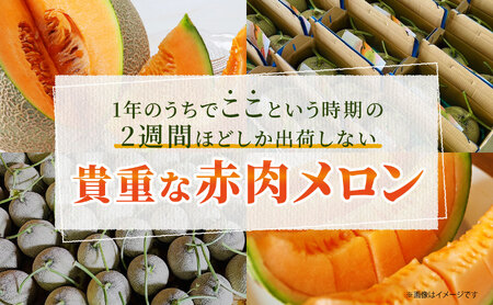【2026年8月上旬から順次発送】【北海道産極旨メロン】妃メロン 2玉 メロン 旬 野菜 赤肉 ジュース アールスメロン 産地直送 せたな町 ふるさと納税