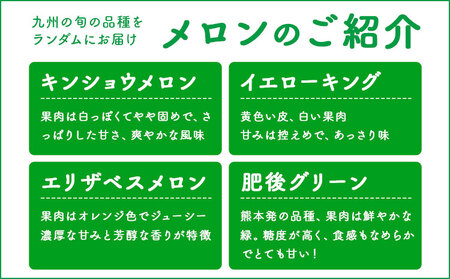 【先行予約】メロン 訳ありメロン 品種おまかせ 約4kg 2-7玉 ランダム 株式会社Foody’s 食彩たかみ《2026年5月下旬-7月下旬頃出荷》 おまかせ ご家庭用 メロン フルーツ 菊池市産 熊本県産 九州産 冷蔵 送料無料