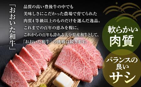 おおいた和牛 焼肉用　500g