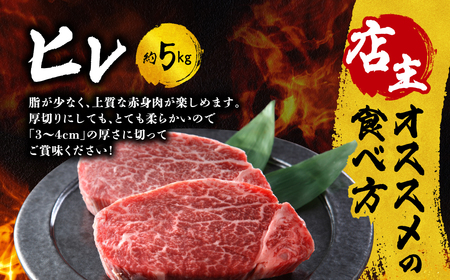肉 牛肉 福島県産 A5 塊 ヒレ 5kg スパイス付 福島県 田村市