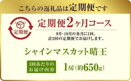 【定期便 全2回／2026年9・10月発送】 岡山県産シャインマスカット 晴王 1房 約650g ｜2回定期便 9月・10月に１回づつお届け 種無し 皮ごと食べる 旬の美味しさ フレッシュ 先行予約 ハレノフルーツ