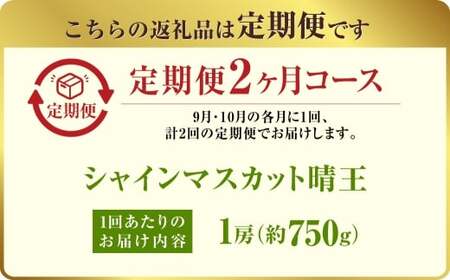 【定期便 全2回／2026年9・10月発送】 岡山県産シャインマスカット 晴王 1房 約750g ｜2回定期便 9月・10月に1回づつお届け 種無し 皮ごと食べる 旬の美味しさ フレッシュ 先行予約 ハレノフルーツ