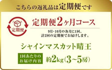 【定期便 全2回／2026年9・10月発送】 岡山県産シャインマスカット 晴王 3～5房（約2kg）｜2回定期便 9月10月に1回づつ発送 種無し 皮ごと食べる 旬の美味しさ フレッシュ 先行予約 ハレノフルーツ