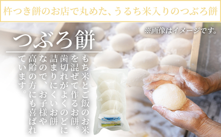 ＜樋口餅店の杵つきつぶろ餅 20個＞ もち 餅 モチ 丸もち オモチ うるち米 もち米 ぜんざい お汁粉 おしるこ 雑煮 お雑煮 正月 お正月 食品 樋口餅店 愛媛県 西予市【冷凍】『1か月以内に順次出荷予定』NHM0003