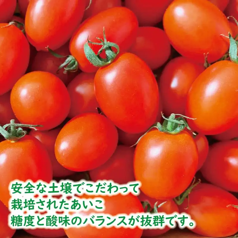高糖度完熟ミニトマト 約2kg 【あいこ】