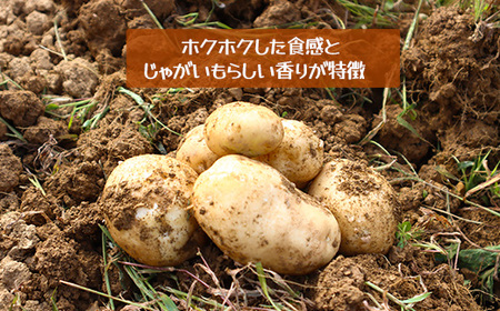じゃがいも3kg（デジマ）
