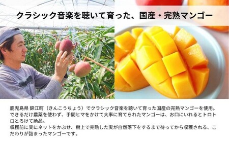 こびとジャム：クラシックマンゴー＆ハニー A-MM-A27A