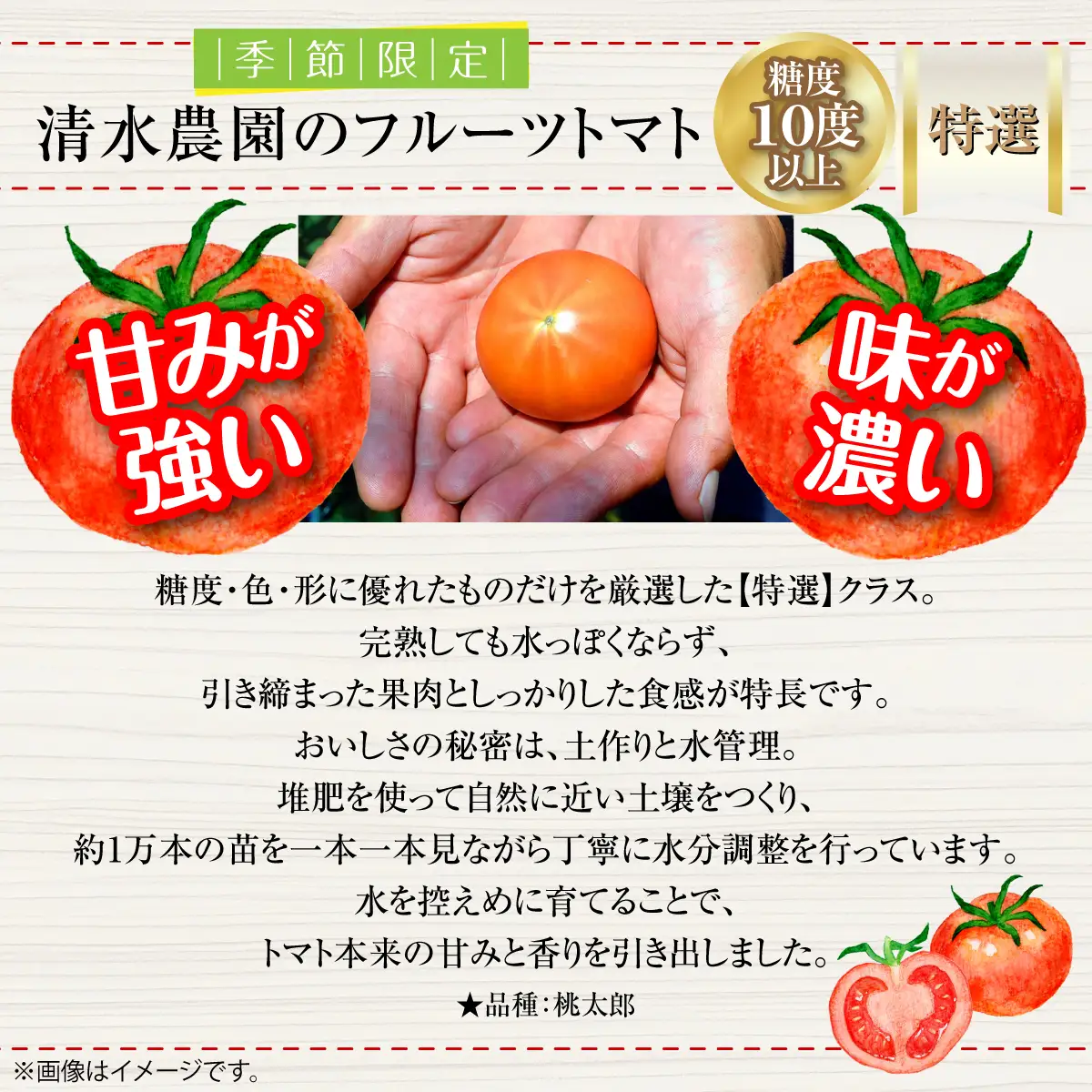 ＜2026年6月下旬よりお届け＞【特選・糖度10度以上】【農園直送】北海道壮瞥産 こだわりフルーツトマト 20玉以上 SBTO005