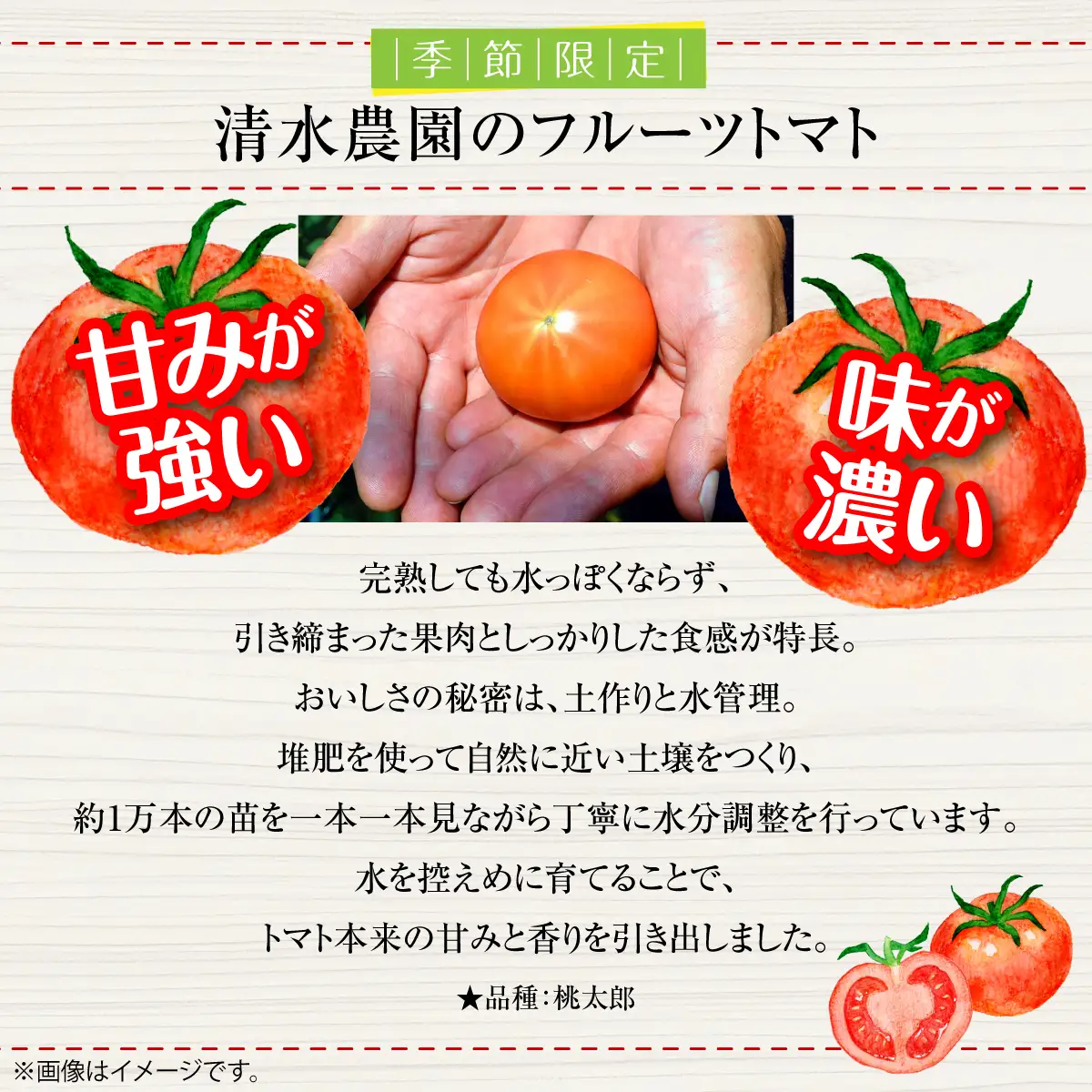 ＜2026年6月下旬よりお届け＞【農園直送】北海道壮瞥産 こだわりフルーツトマト　20玉以上 SBTO003