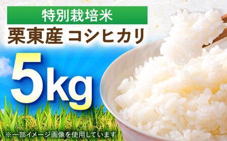 【令和7年度産】 特別栽培米 コシヒカリ 5kg [BIBV007] 近江米