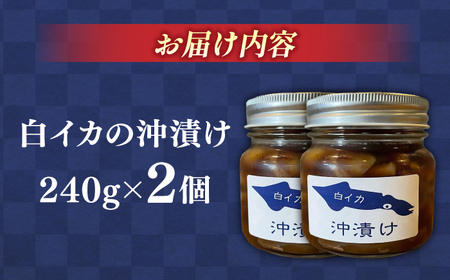 イカ 白イカ(ケンサキイカ)の沖漬け240g×2個セット 島根県松江市/海ひこ株式会社[ALDY004] イカ イカ