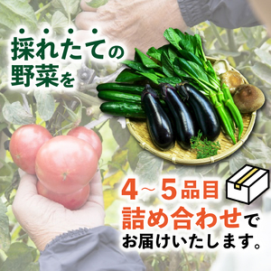 【訳あり・定期便】旬の野菜詰め合わせ（全4回 春・夏・秋・冬）