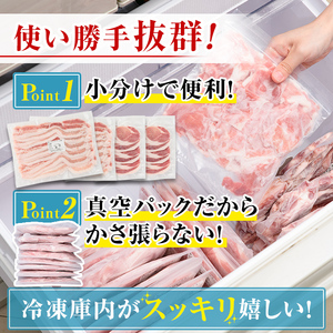 isa645 【定期便3回】九州産 豚肉2種セット (合計4.5kg・1.5kg×全3回)  バラスライス ロース 生姜焼き 真空包装 真空パック 小分け ぶたにく 豚 肉 詰合せ 詰め合わせ 冷凍 【サンキョーミート株式会社】