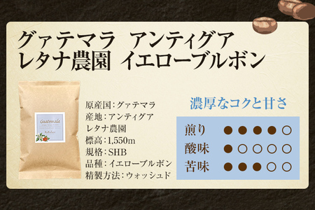 コーヒー豆 グァテマラ アンティグア レタナ農園 イエローブルボン 100g お試し 自家焙煎 ドリンク 飲料