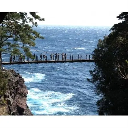 【伊豆高原】＼温泉・宿泊・体験に!/2,000円パス15枚セット_旅行券・チケット   _【1543318】