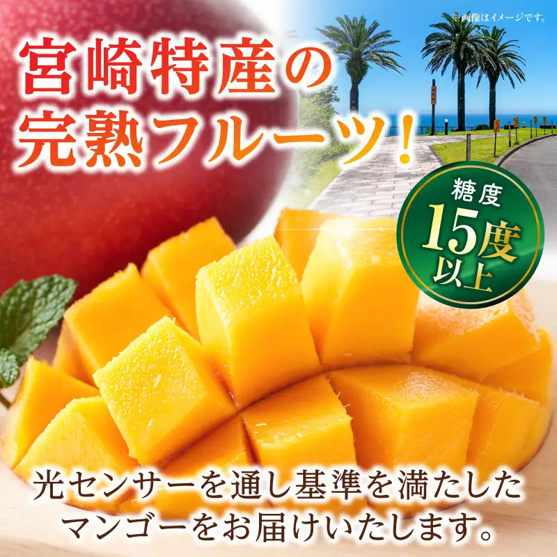 太陽のタマゴ マンゴー 太陽のタマゴ[2L 3玉 1.05~1.3kg]