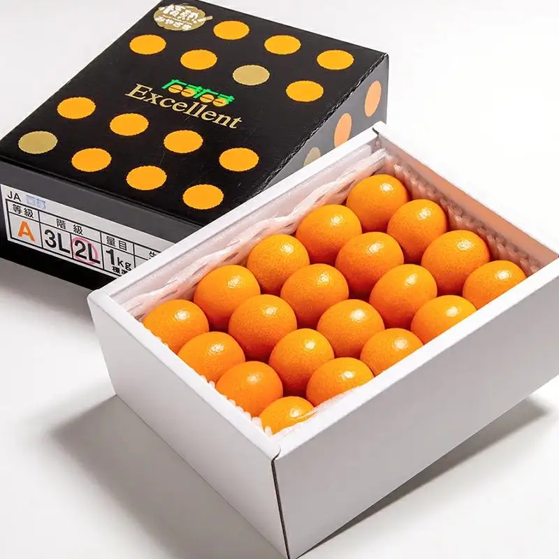 【先行予約】糖度18度以上　宮崎金柑の最高級ブランド『完熟きんかんたまたまエクセレント』1kg　2026年発送＜2-7a＞