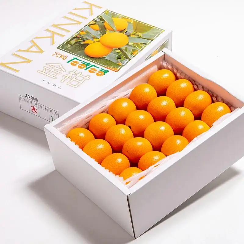 【先行予約】糖度16度以上　「宮崎完熟きんかんたまたま」1kg　宮崎県西都市産 2026年発送＜2-4a＞