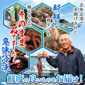 【数量限定】志布志湾ボイル済たこブロック 約750g(約250g×3P) 蛸 タコ 地だこ 刺身 急速冷凍 冷凍 サラダ カルパッチョ キムチ a6-054