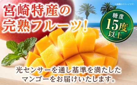 太陽のタマゴ マンゴー 太陽のタマゴ 期間限定[数量限定 《2026年発送》 5Lサイズ 1玉 宮崎マンゴー 完熟 完熟マンゴー 果物 フルーツ くだもの 果肉 果汁 甘い 芳醇 南国フルーツ 南国 特産品 名物 高糖度 ギフト 贈り物 プレゼント]