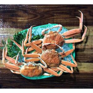 【魚倉】ボイルお任せセコガニ1kgセット
