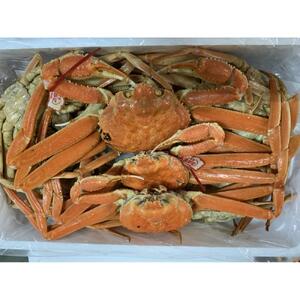 【魚倉】松葉がに ボイル おまかせセット ３kg訳あり