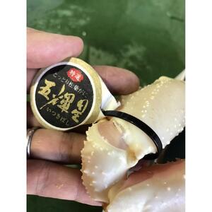 【魚倉】五輝星生松葉ガニ(特々大1.2kg)数量限定品