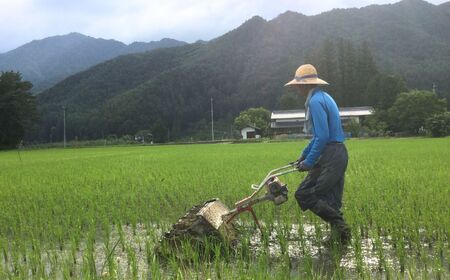 日本酒 自然栽培米 天日干し 亀の尾100％使用 「亀の福結び」 | 日本酒 蔵出し無濾過原酒 地酒 自然栽培米 天日干し 亀の尾 お酒 酒 さけ サケ アルコール 飲料 贈り物 ギフト 長野県 松川村 信州 北アルプス