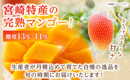 マンゴー 完熟 マンゴー[宮崎 4L 2玉 1.05~1.25kg]