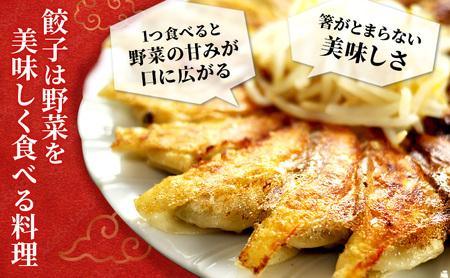 花餃子（22個入×2袋）とにんにく餃子（22個入×2袋）セット 加工食品 ぎょうざ 