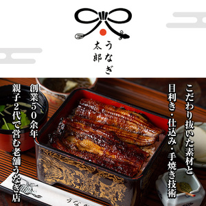 【0263709a】鹿児島県産東串良町のうなぎ白焼(2尾・計280g以上) うなぎ 高級 ウナギ 鰻 国産白焼き 鹿児島【うなぎ太郎】