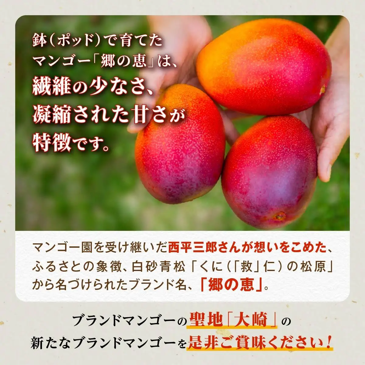 【ご家庭用3-4玉（1.0kg）】大崎完熟マンゴー「郷の恵（さとのめぐみ）」
