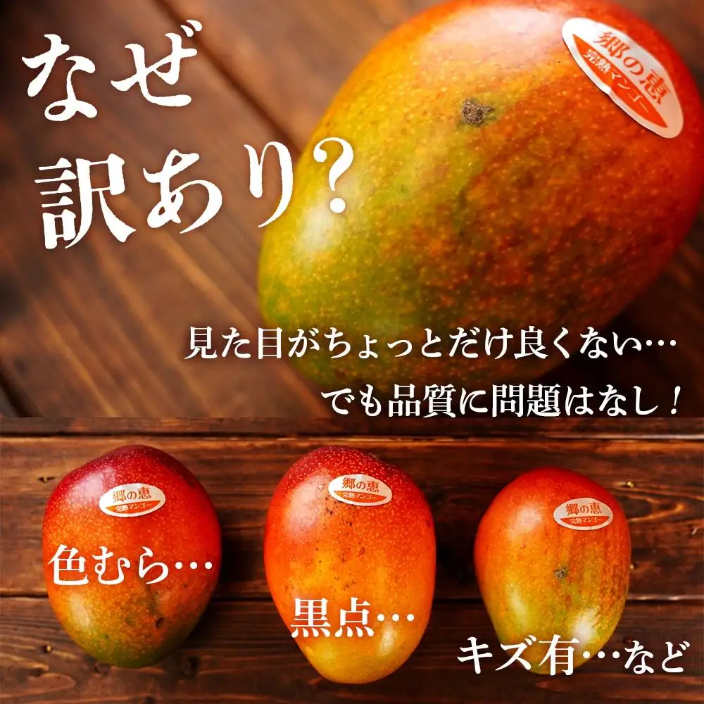 【訳あり】1kg 大崎完熟マンゴー「郷の恵（さとのめぐみ）」加工用マンゴー（糖度10度前後）